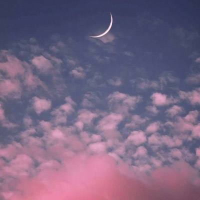 凤凰彩票app手机app下载