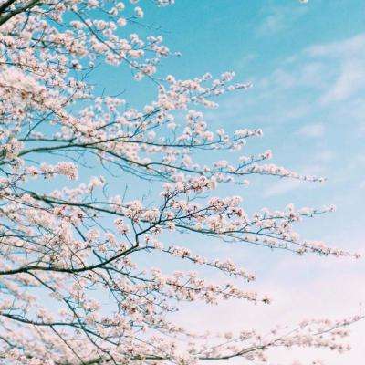 全球十大正规网赌网址